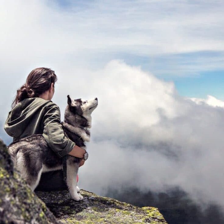 adventure-clouds-dog-36372